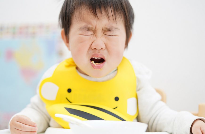 幼児期の食のヒント② 食べない子への対応 