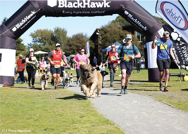 4 Paws Marathon