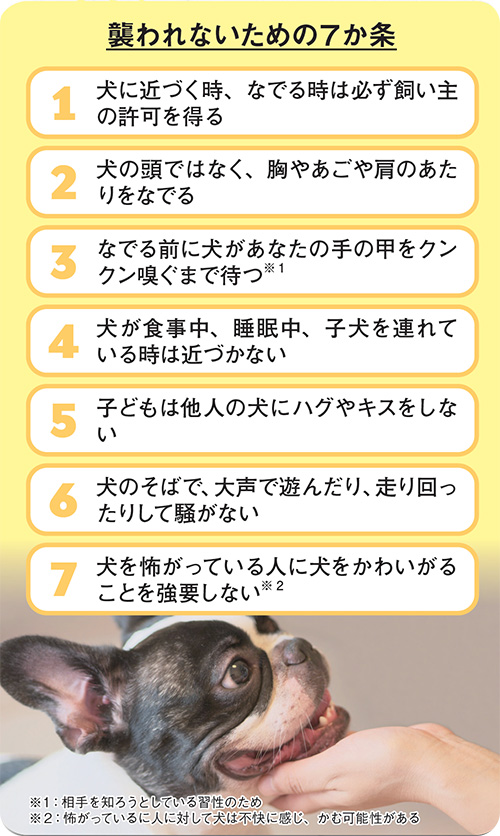 犬に襲われないための7か条