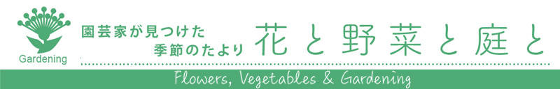 園芸家が見つけた季節のたより 花と野菜と庭と