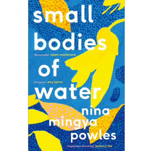 Small Bodies of Water