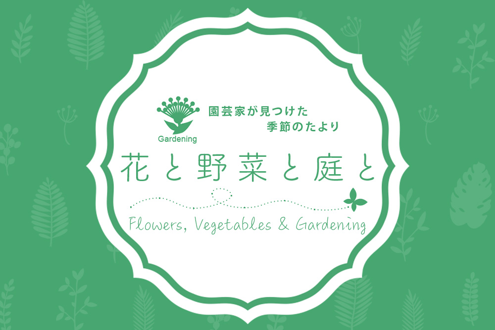 園芸家が見つけた季節のたより 花と野菜と庭と