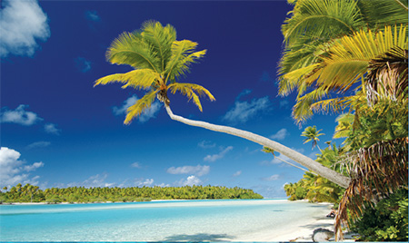 AITUTAKI DAY TOUR image