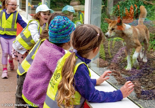 Zoo Holiday Programme