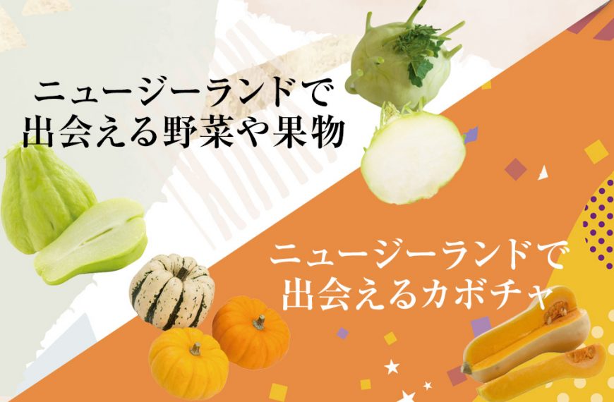 ニュージーランドで 出会える野菜や果物・カボチャ