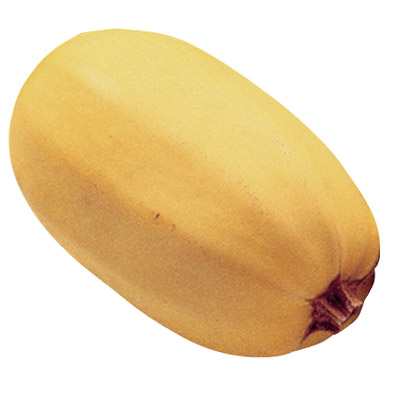 Spaghetti squash