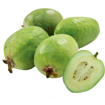 Feijoa