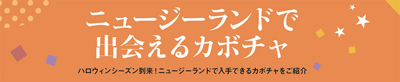 ニュージーランドで出会えるカボチャ