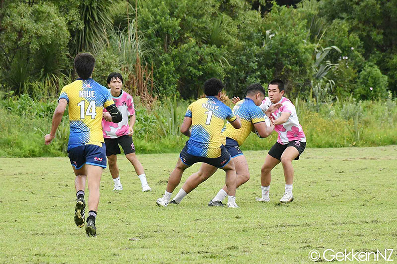 NZAB vs NIUE