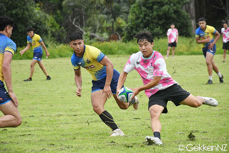 NZAB vs NIUE