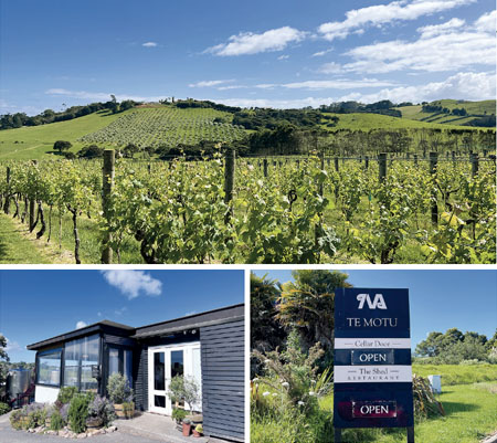 Te Motu Vineyard