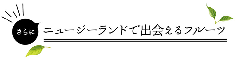 さらに　ニュージーランドで出会えるフルーツ