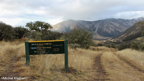 Waiau Pass Track