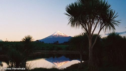 Whanganui River