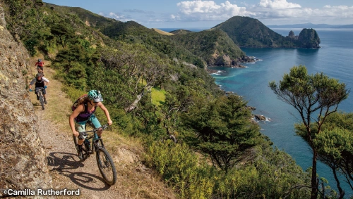 Coromandel Walkway