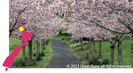 Auckland Domain - Auckland