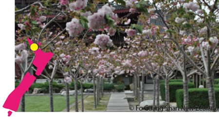 Fo Guang Shan - Auckland