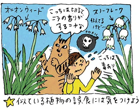 似ている植物の誤食には気をつけよう