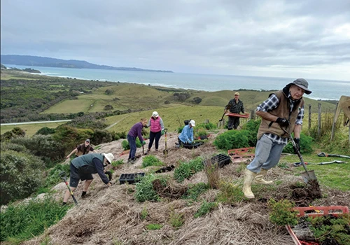 タファラヌイ・オープン・サンクチュアリは、在来植物と湿地の再生に取り組み、毎年の植樹イベントを開催