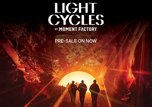 Light Cycles by Moment Factory