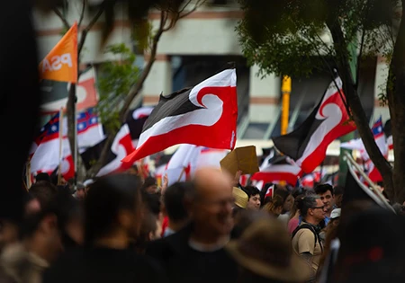 cap-left カウンシル、条約原則法案に反対する42,000人以上の支持に加わる