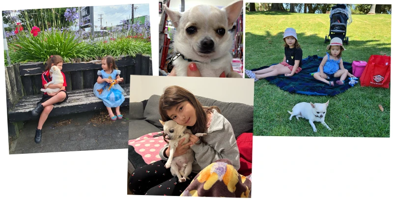 子供達の成長をずっと見守ってくれているTacoちゃん。これからもいっぱい一緒の時間を過ごそうね。