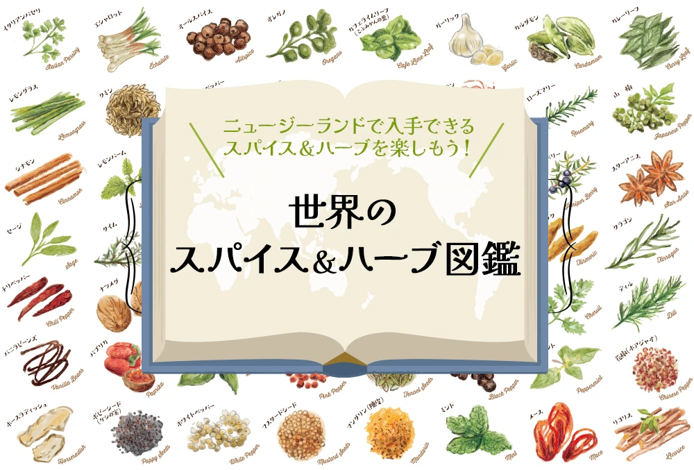 ニュージーランドで入手できるスパース＆ハーブを楽しもう！世界のスパイス＆ハーブ図鑑