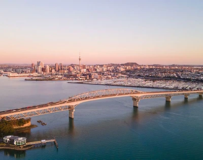 オークランド地方選挙結果:ウェイン・ブラウン市長再選