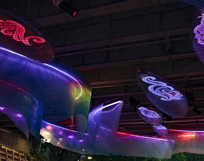 cap-left オークランドの緑地:国内外で高く評価