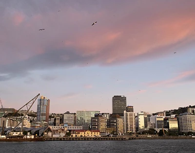 cap-left 2024/25年度年次報告書を採択