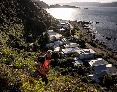 cap-left ウェリントンの捕食動物撲滅ミッション
