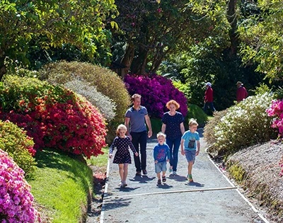 cap-left Centuria Taranaki Garden Festival 2025