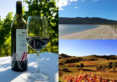 1.オークランド プチリゾート ワイヘキ島1日観光