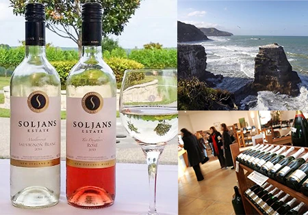 2.オークランド市内観光とワイナリー巡り テイストオブオークランド