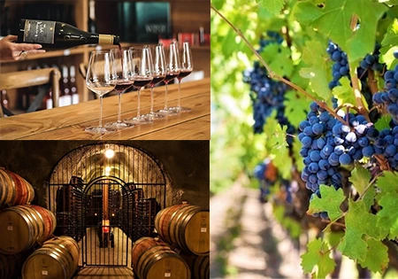 7.クイーンズタウンワイナリーツアー