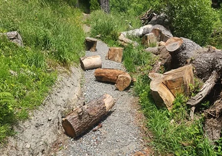 マウンテンバイク・コースでの悪質な嫌がらせに対する監視強化