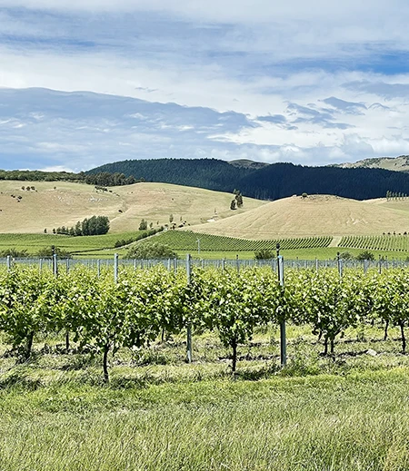 ニュージーランドのワイナリー