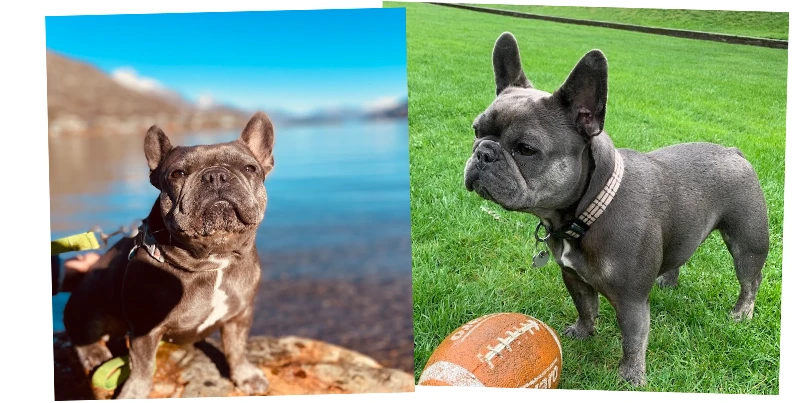 ラグビーボールを追いかけるのが大好きです♡