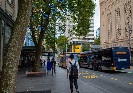 Wellesley Streetの交通アクセス大幅に改善