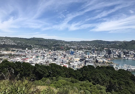 ウェリントンの固定資産税、国内最高水準に