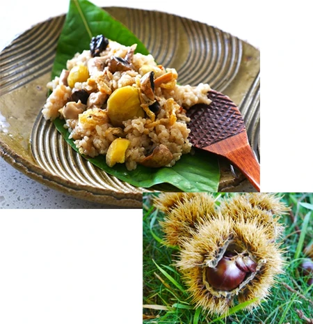 栗と鶏肉のおこわ