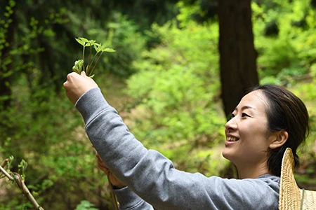 桑木野恵子さん