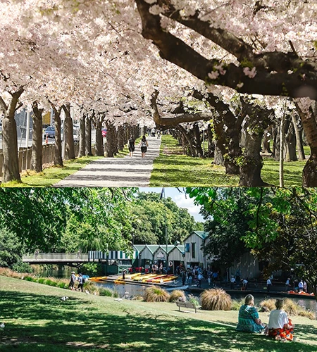 南半球最大の公園：ハグレーパーク