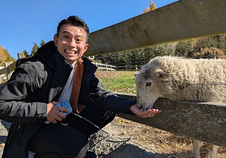 羊と