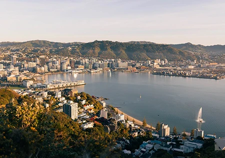cap-left 調査結果:ウェリントン市民の80%は生活の質に満足