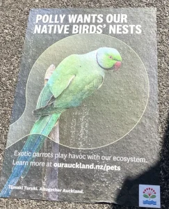 インコ