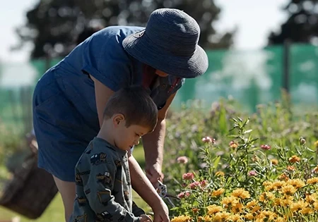 Centuria Taranaki Garden Festival