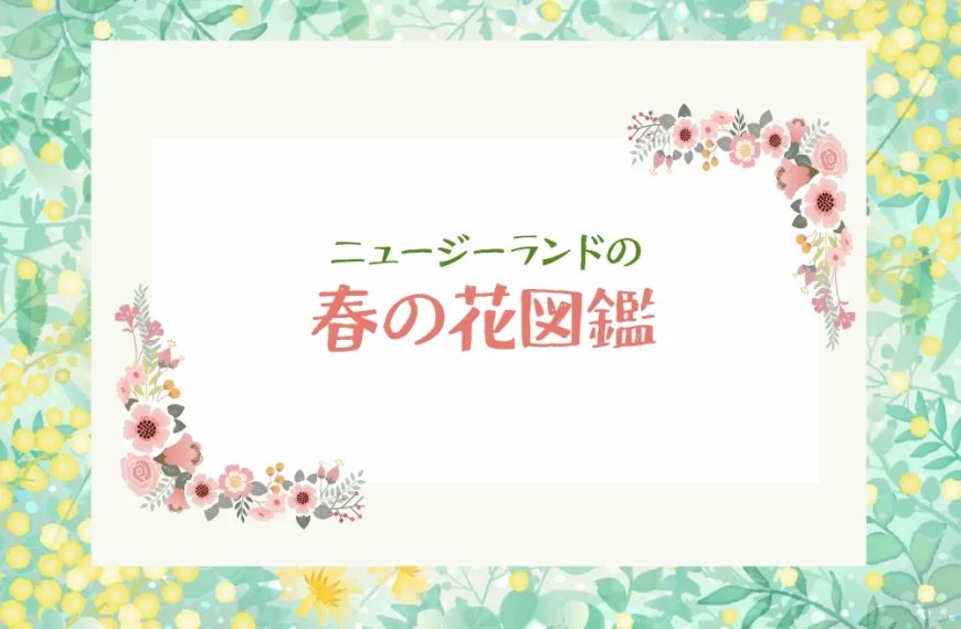 ニュージーランドの春の花図鑑