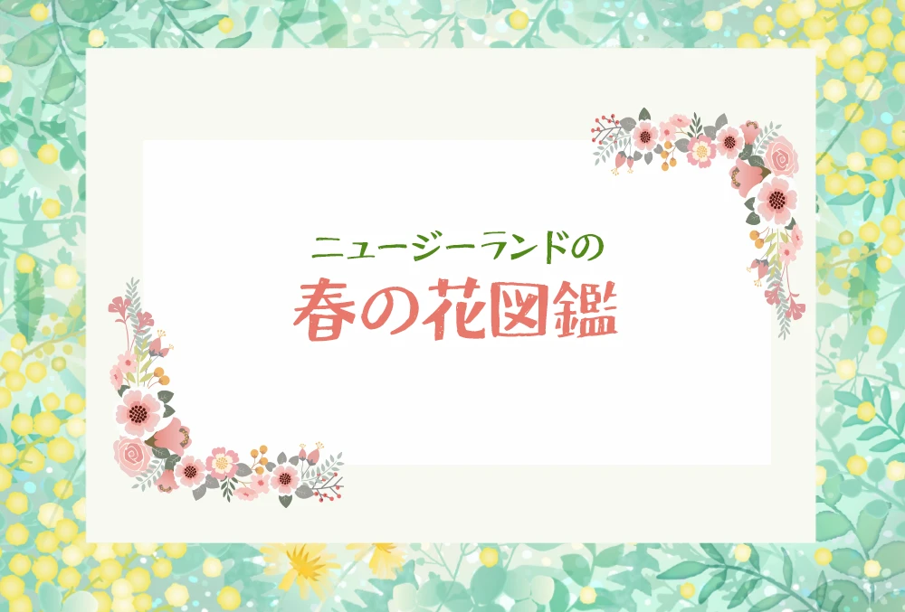 ニュージーランドの春の花図鑑