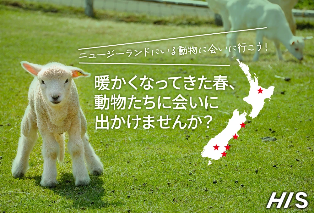 暖かくなってきた春、 動物たちに会いに 出かけませんか？
